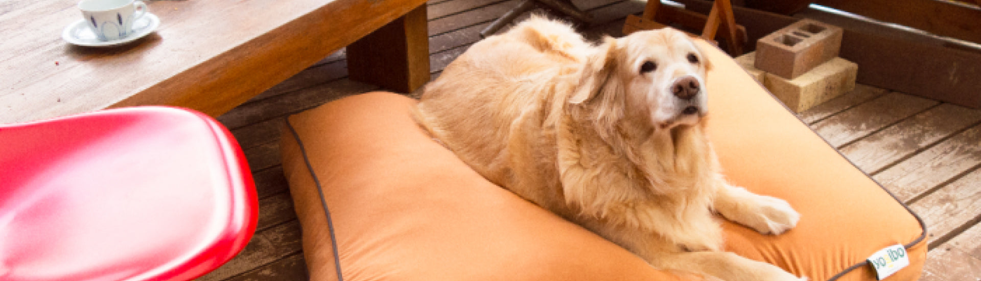Dog Beds Yogibo Canada